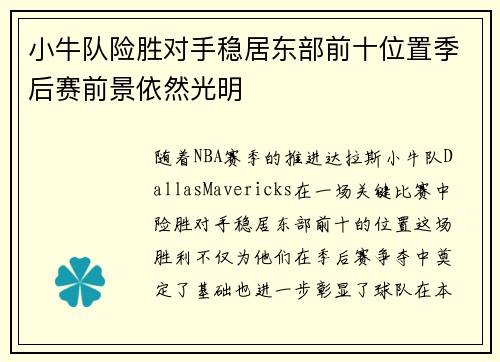 小牛队险胜对手稳居东部前十位置季后赛前景依然光明